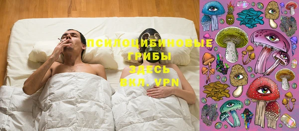 ПСИЛОЦИБИНОВЫЕ ГРИБЫ Зерноград
