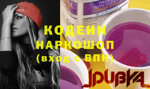 apvp Иннополис