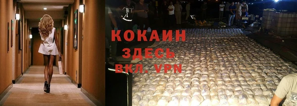 ПСИЛОЦИБИНОВЫЕ ГРИБЫ Зерноград